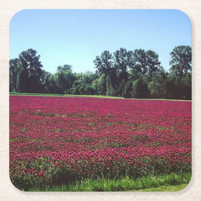 Crimson Clover Field Rechteckiger Pappuntersetzer (Vorderseite)