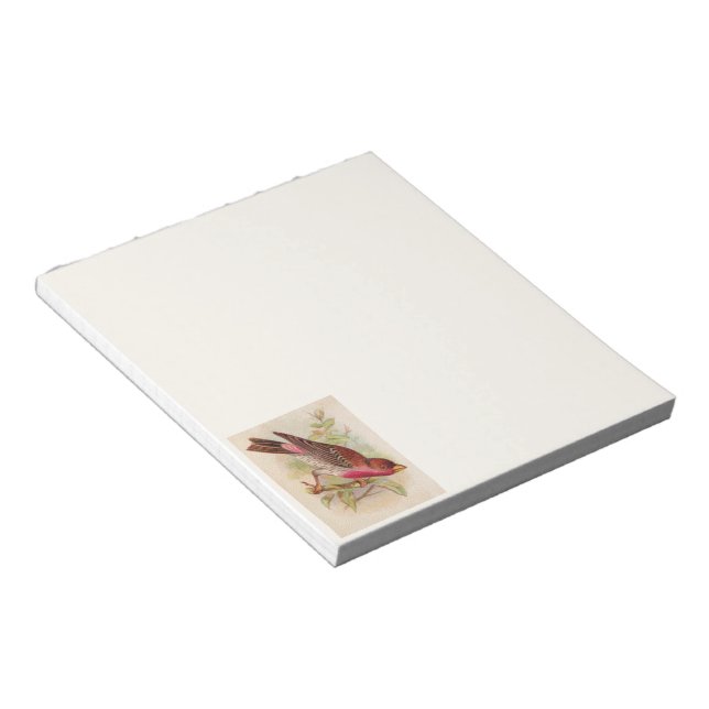 Crimson Frontsch Finch Bird Notepad Notizblock (angewinkelt)