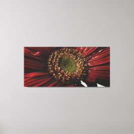 Crimson Gerbera Macro Leinwanddruck
