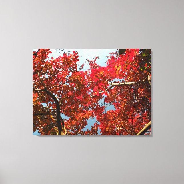 Crimson Myrtle #2 Leinwanddruck (Vorderseite)