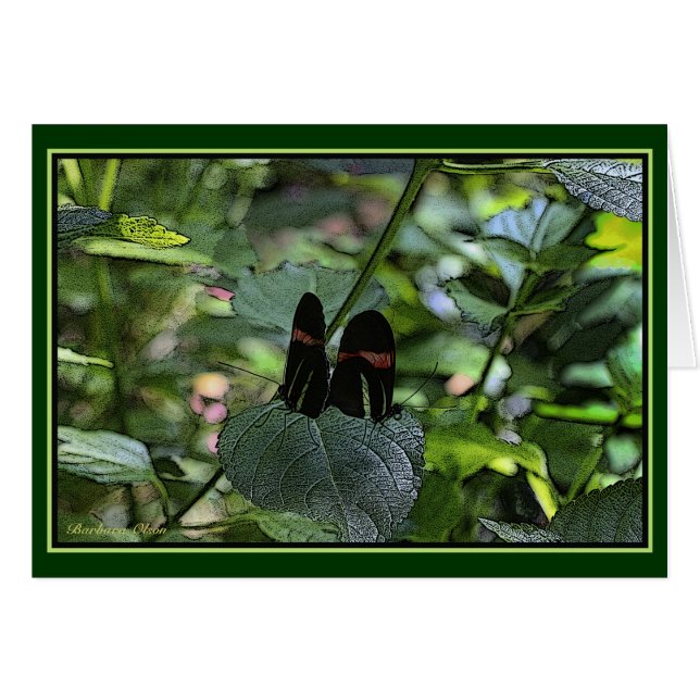 Crimson-Patched Longwing (Vorderseite (Horizontal))