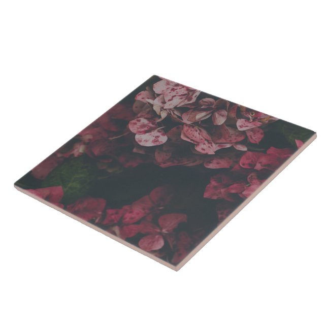 Crimson Petal Schatten Dekorative Keramikfliese (Seite)