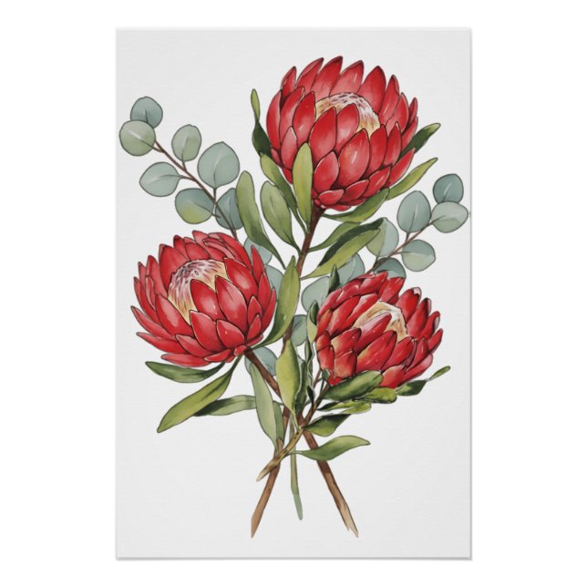 Crimson Protea Bouquet Watercolor Poster (Vorderseite)