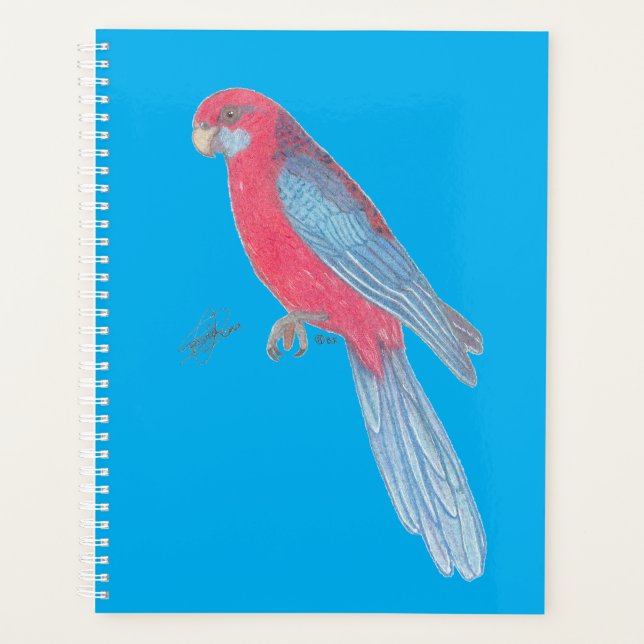 CRIMSON ROSELLA PLANER (Vorderseite)