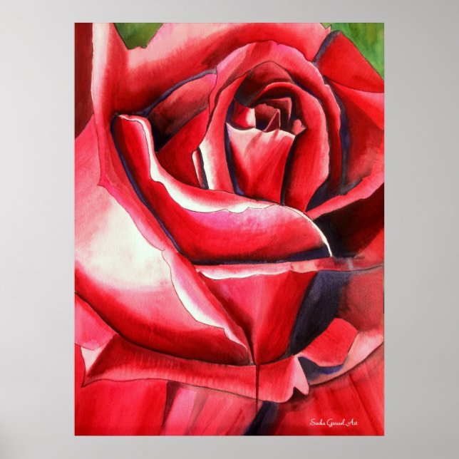 Crimson Rote Rose Original Aquarellmalerei Poster (Vorne)