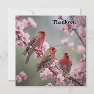 "Crimson Trio: Rote Finches inmitten rosa Blüten" Dankeskarte