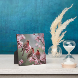 "Crimson Trio: Rotfinken zwischen rosa Blüten" Fotoplatte