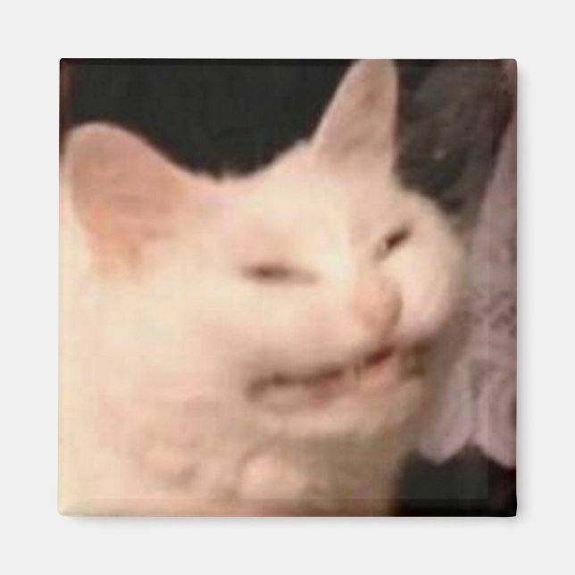 Cringe-Katzen-Meme Magnet (Vorne)
