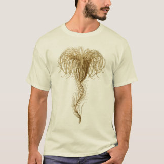 Crinoids T-Shirt