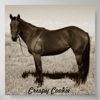 Crispy Cookie Poster