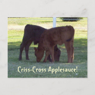 Criss-Cross Applesauce! Calves Postcard Postkarte