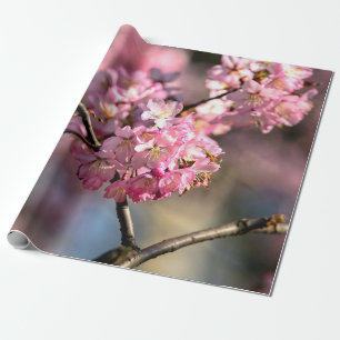 Crisscrossed Sakura Tree Twigs Geschenkpapier