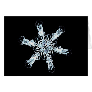 Cristal stellaire de neige