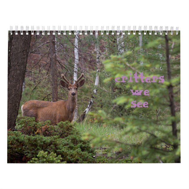 Crites, die wir sehen  kalender (Titelbild)
