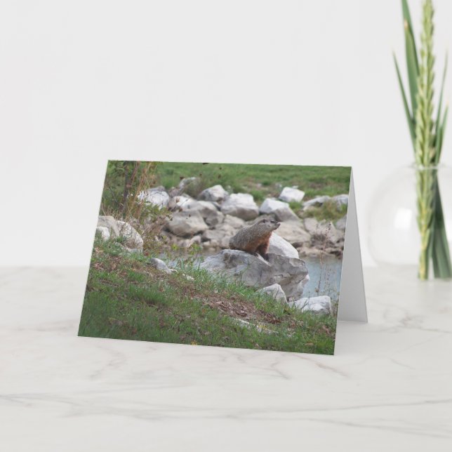 Critter am See Karte (Vorderseite)