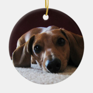 crockettsperfectpic keramik ornament