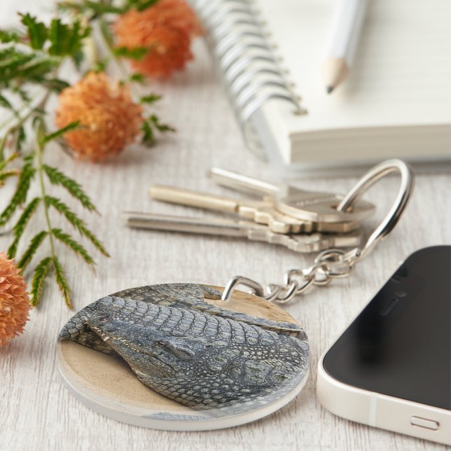 Crocodile (Devant Droit)