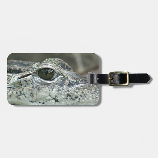 Crocodile Eye Luggage Tag Gepäckanhänger (Vorderseite horizontal)
