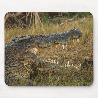 Crocodile Mousepad