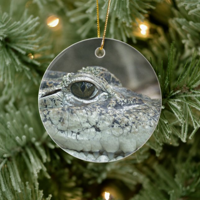 Crocodile Smile Ornament (Baum)