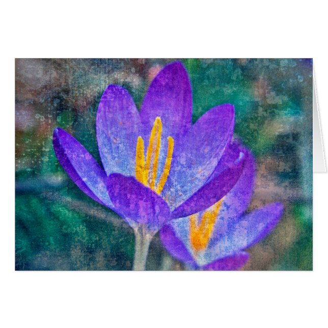 Crocus (Devant horizontal)