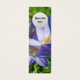 Crocus