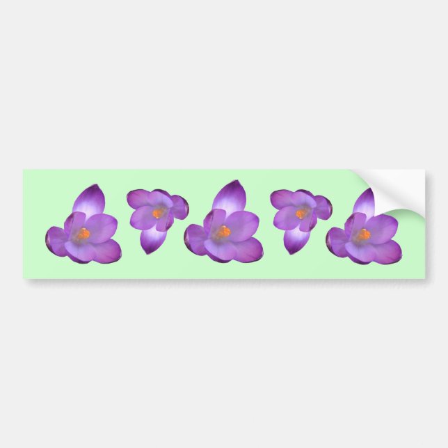 Crocus 1, Crocus 1, Crocus 1, Crocus 1, Crocus 1,  Autoaufkleber (Vorne)