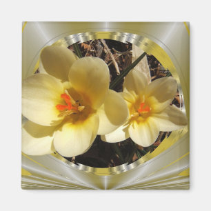 Crocus 20 ~ aimant