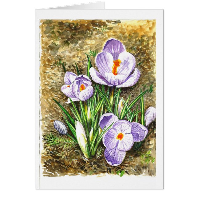 Crocus au printemps (Devant)