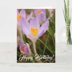 Crocus Birthday Blessings Karte