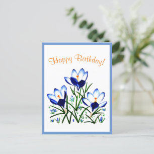 Crocus bleus au printemps Carte postale