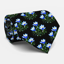 Crocus Bleus Cravate Noire