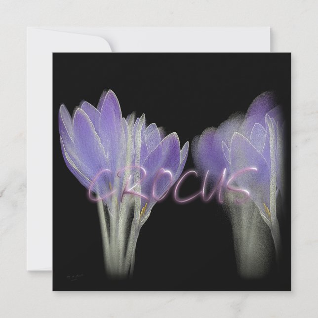 CROCUS-BLUME FEIERTAGSKARTE (Vorderseite)