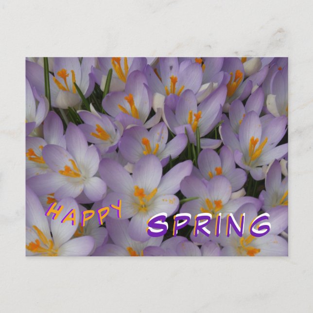 Crocus Blume Muster Happy Spring Postcard Postkarte (Vorderseite)