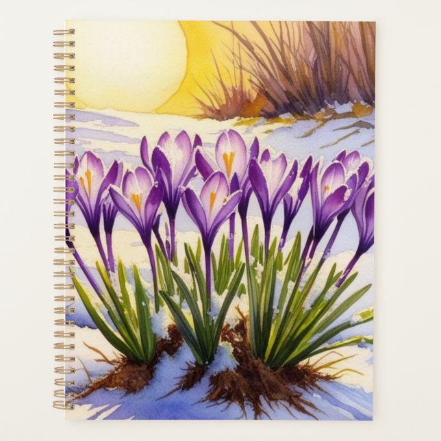 Crocus Blume Planer (Vorderseite)