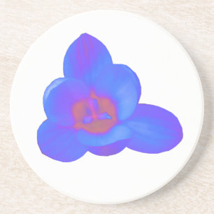 Crocus Blume Warme und kalte Untersetzer