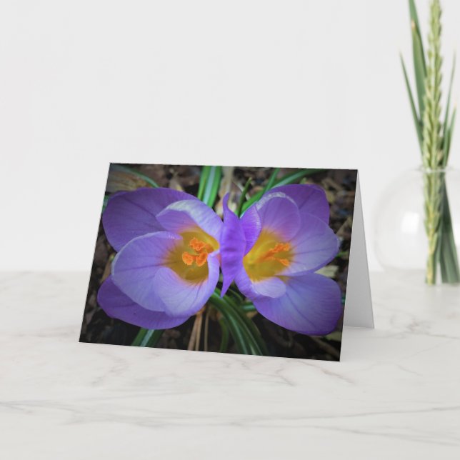 Crocus, carte (Devant)
