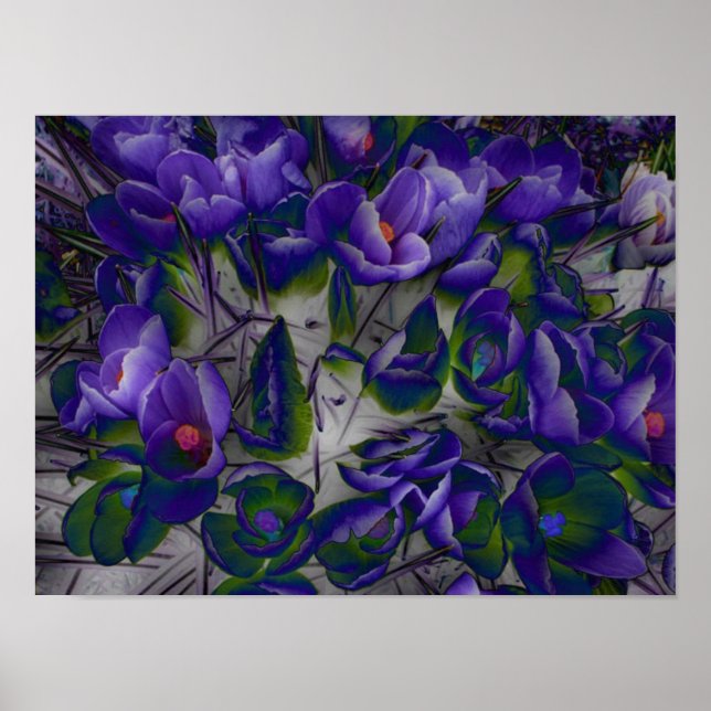 Crocus Cloud Pattern Poster (Vorne)