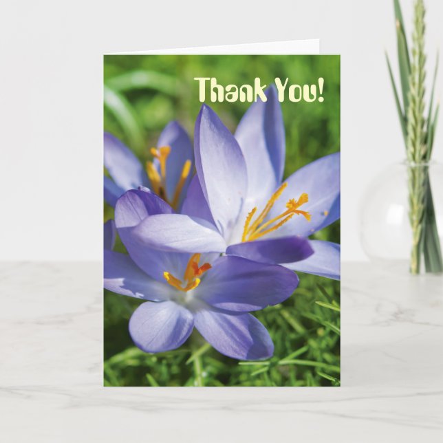 Crocus Dankeskarte (Vorderseite)
