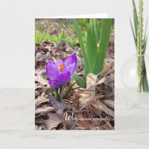 Crocus de printemps en Feuille Carte de Sympathie