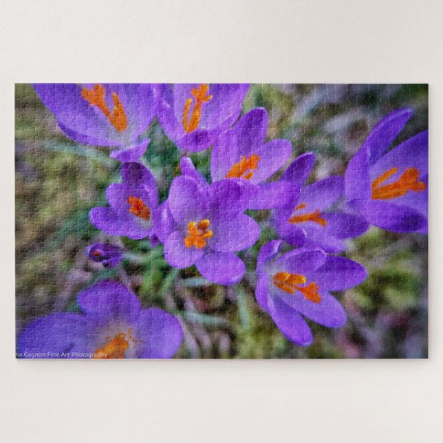 Crocus Fine Art (Horizontal)