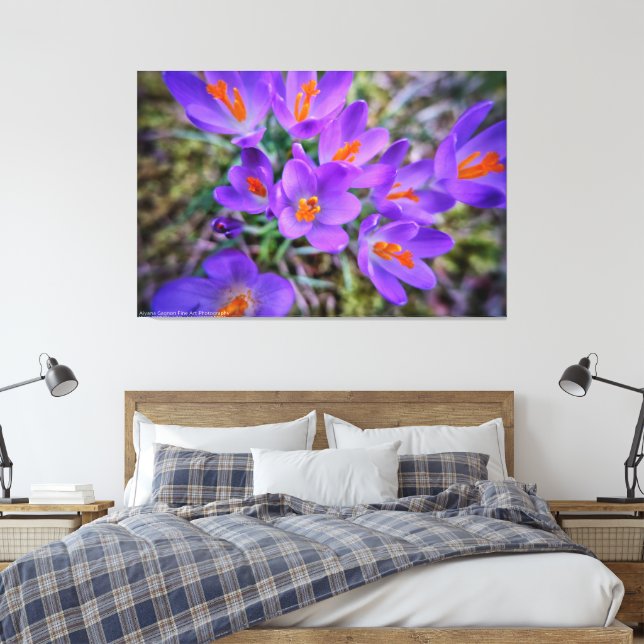 Crocus Fine Art Leinwanddruck (Insitu (Schlafzimmer))