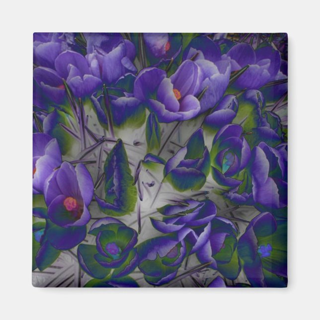 Crocus Magnet (Vorne)