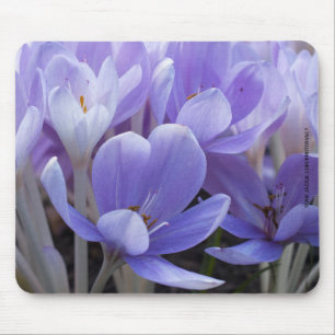 Crocus Mousepad