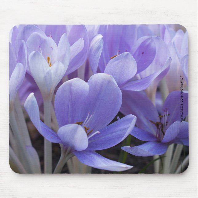 Crocus Mousepad (Vorne)