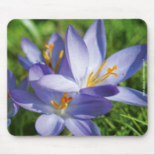Crocus Mousepad