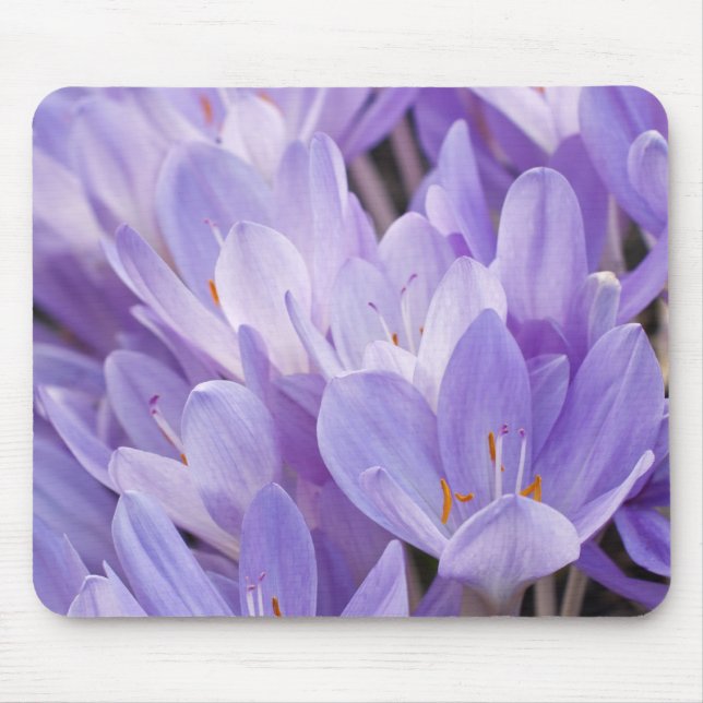 Crocus Mousepad (Vorne)