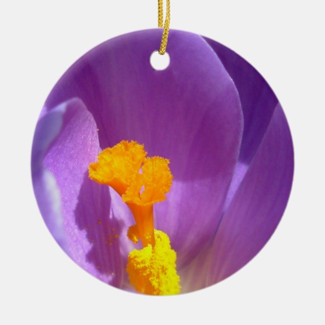 Crocus Ornament Purple Flowers Dekoration (Vorne)