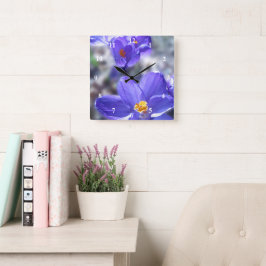 Crocus Purple Flowers Foto Quadratische Wanduhr