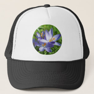 Crocus Truckerkappe